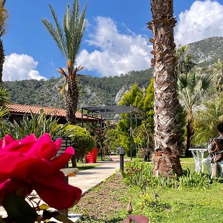Aida Hotel Çıralı Kültér fotó