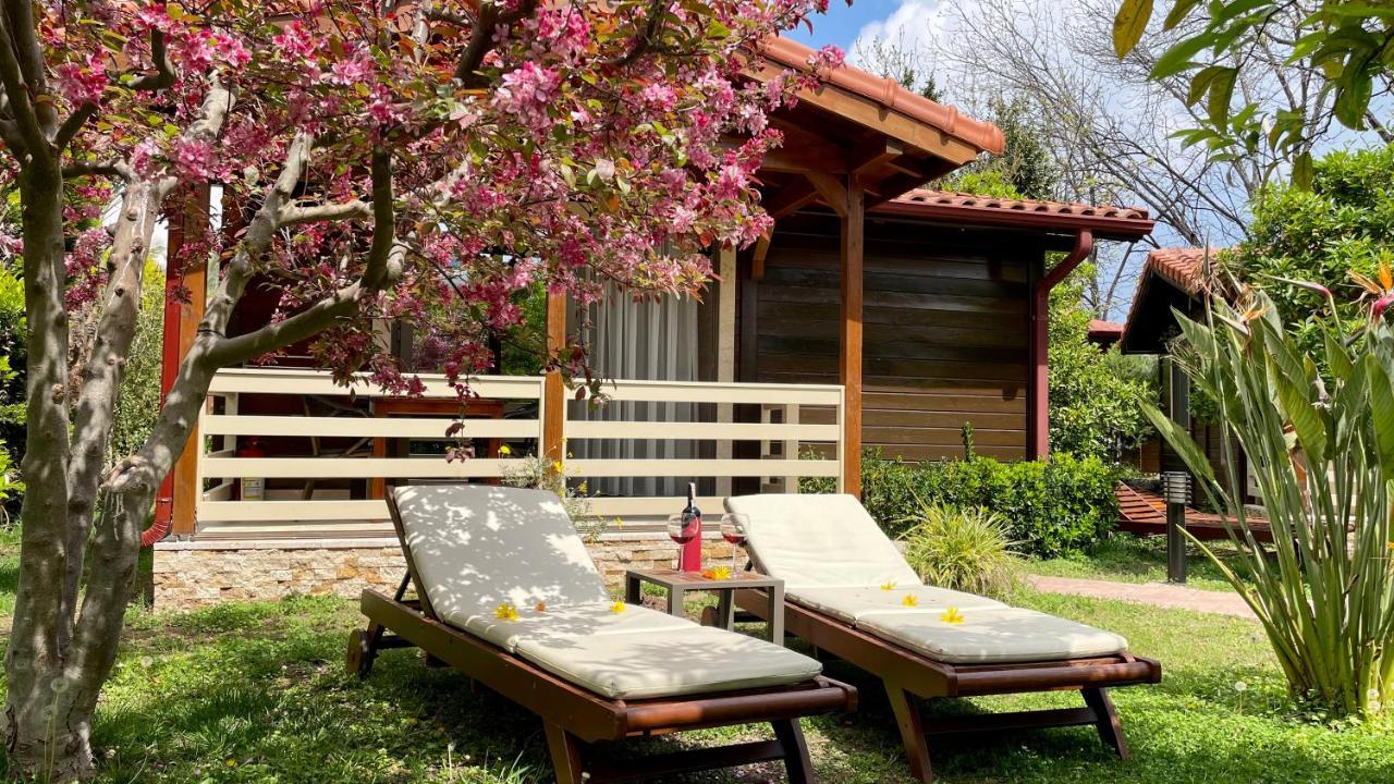 Aida Hotel Çıralı Kültér fotó