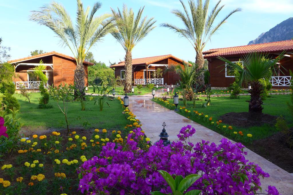 Aida Hotel Çıralı Szoba fotó