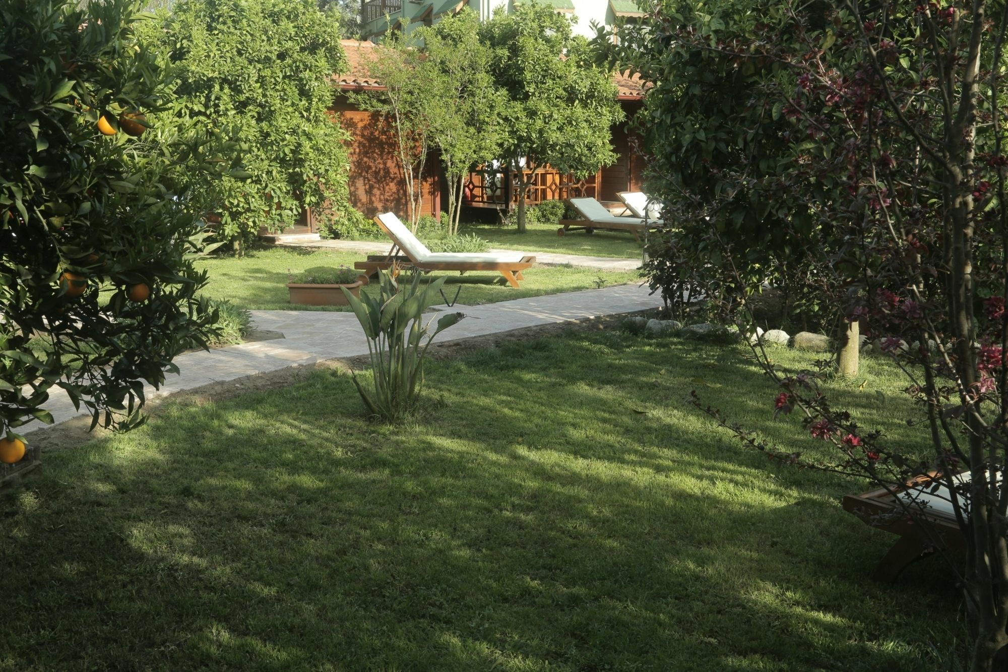Aida Hotel Çıralı Kültér fotó